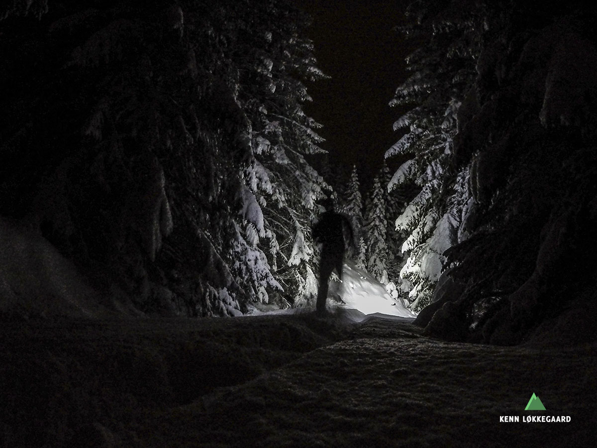 Løber ind i den tætte skov som er dækket af store snemængder.